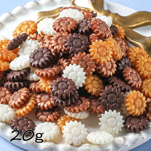 V[ObNXp E Ђ܂^ 20g[i]