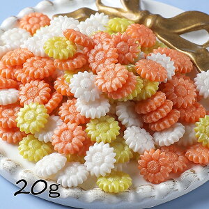 y121P10{zV[ObNXp E Ђ܂^ 20g[]