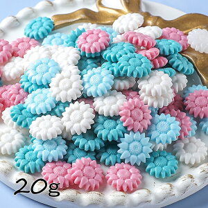 V[ObNXp E Ђ܂^ 20g[]