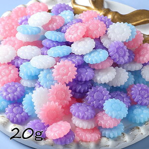 V[ObNXp E Ђ܂^ 20g[ߓ]