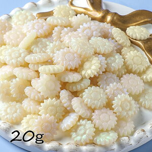 y121P10{zV[ObNXp E Ђ܂^ 20g[Ό]