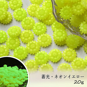 V[ObNXp E Ђ܂^ 20g[~ElICG[]