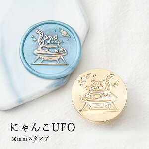 ywbĥ݁zV[ObNXp X^vwbh 30mm ɂUFO