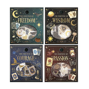 BGM NAV[ tH[` t[NV[ S4