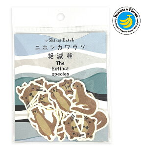 y121P10{zV[ t[NV[ oiiy[p[ Ŋ뜜yjzJE\z