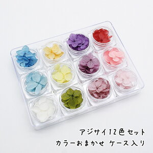 AWTC12FZbg J[܂ P[X /Wp[c n[oEA}bNXTVF {^jJTVFɂ ԍ  vU[uht[ ~bNXJ[ Jt