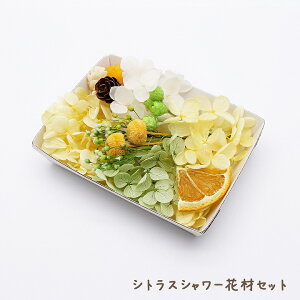 VgXV[ԍރZbg 1P[X /n[oEA}bNXTVF {^jJTVFɂ ԍ vU[uht[  CG[ O[ F ΐF ؂̎ IW 