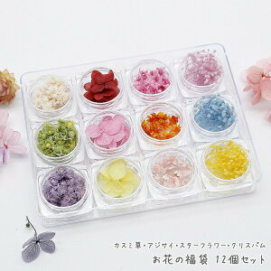 JX~EAWTCEX^[t[ENXp Ԃ̕ 12Zbg/vU[uht[