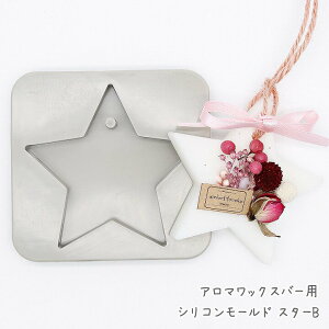 A}bNXTVFp VR[h X^[B A}Xg[ {^jJLh NX}X