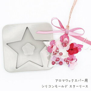 A}bNXTVFp VR[h X^[[X ^ NX}X A}Xg[ {^jJLh