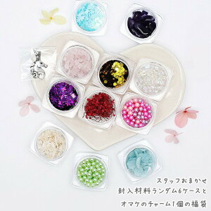 y121P10{zX^bt܂ ޗ_6P[XƃI}P̃`[1̕ /Wp[c ^`[ ^p[c  zO Ȃp[ hCt[