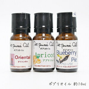 y121P10{z|vIC 10ml S3 IG^ AvRbg u[x[pC /{^jJTVF Ό Lh  AY 