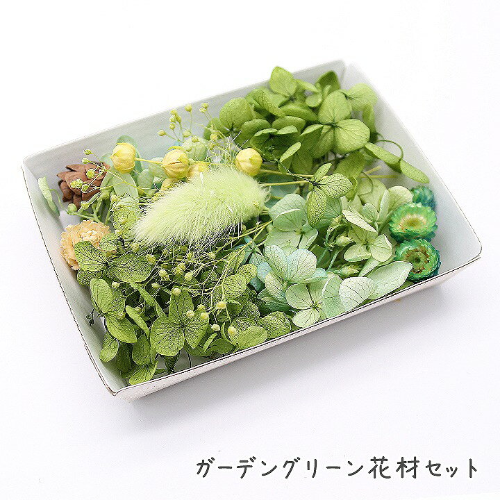 楽天市場】ハーバリウム花材 ガーデングリーン花材セット 1ケース 