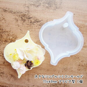 傫ȃVvVR[h 75x60mm ArA^ 1 /VR^ ^ 傫߃VR[h A}bNXTVF W^ A}Xg[