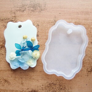 傫ȃVvVR[h 76x55mm gXNGA^ 1 /VR^ 傫߃VR[h A}bNXTVF A}Xg[ {^jJLh W^ `