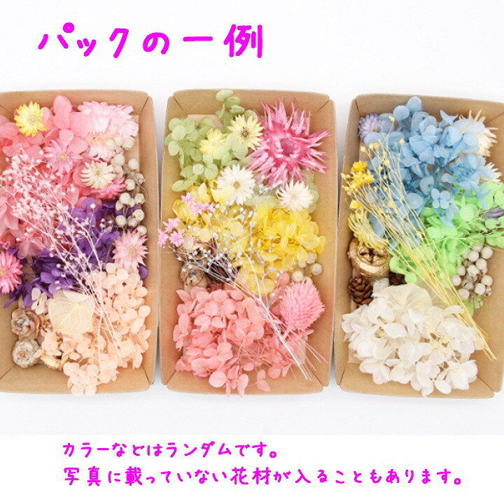 楽天市場】【メール便送料無料】ハーバリウム花材 カラフルフラワー  