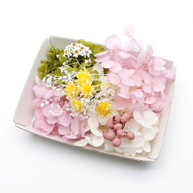 ハーバリウム花材 サクラカラー花材セット 1ケース プリザーブドフラワー＆ドライフラワーミックス