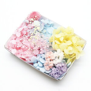 n[oEԍ pXeXC[gԍރZbg 1P[X vU[uht[hCt[~bNX AWTC g NXp ݑ