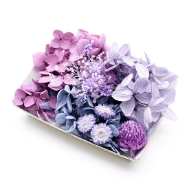 ハーバリウム花材 スミレカラー花材セット 1ケース プリザーブドフラワー ドライフラワー