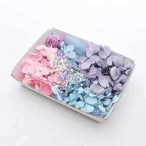 n[oEԍ ʃpbgԍރZbg 1P[X vU[uht[ hCt[