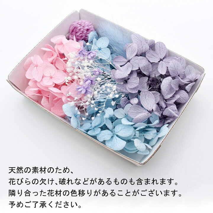 楽天市場 ハーバリウム花材 水彩パレット花材セット 1ケース プリザーブドフラワー ドライフラワー あとりえほのか おうちを楽しむ