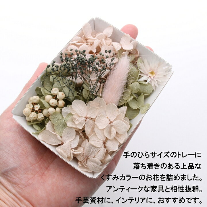 楽天市場 ハーバリウム花材 ナチュラルガーデン花材セット 1ケース プリザーブドフラワー ドライフラワー あとりえほのか おうちを楽しむ 楽天市場 ハーバリウム花材 ナチュラルガーデン花材セット 1ケース プリザーブドフラワー ドライフラワー あとりえほのか おうちを楽しむ