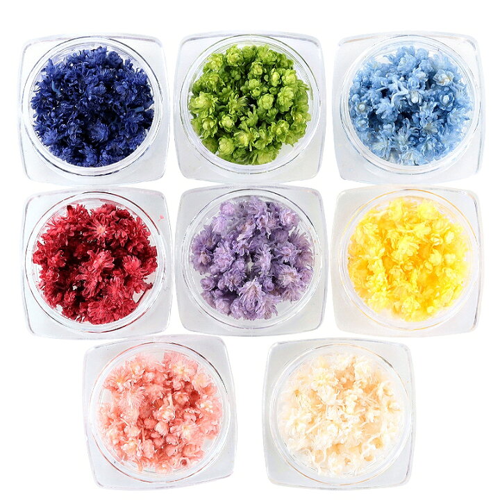 楽天市場 ドライフラワー クリスパム 全6色 1ケース ハーバリウムやアロマワックスサシェ ボタニカルキャンドルにも 花材 レジン封入パーツ レッド パープル グリーン ホワイト イエロー ピンク 赤色 紫色 緑色 白色 黄色 桃色 単色販売 あとりえほのか おうちを楽しむ 楽天市場 ドライフラワー クリスパム 全6色 1ケース ハーバリウムやアロマワックスサシェ ボタニカルキャンドルにも 花材 レジン封入パーツ レッド パープル グリーン ホワイト イエロー ピンク 赤色 紫色 緑色 白色 黄色 桃色 単色販売 あとりえほのか おうちを楽しむ