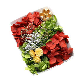 【6月1日限定P10倍】ハーバリウム花材 ポインセチアカラー花材セット