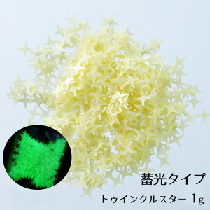 W ޗ ~^Cv gDCNX^[ 4mm ^ V[g 1g