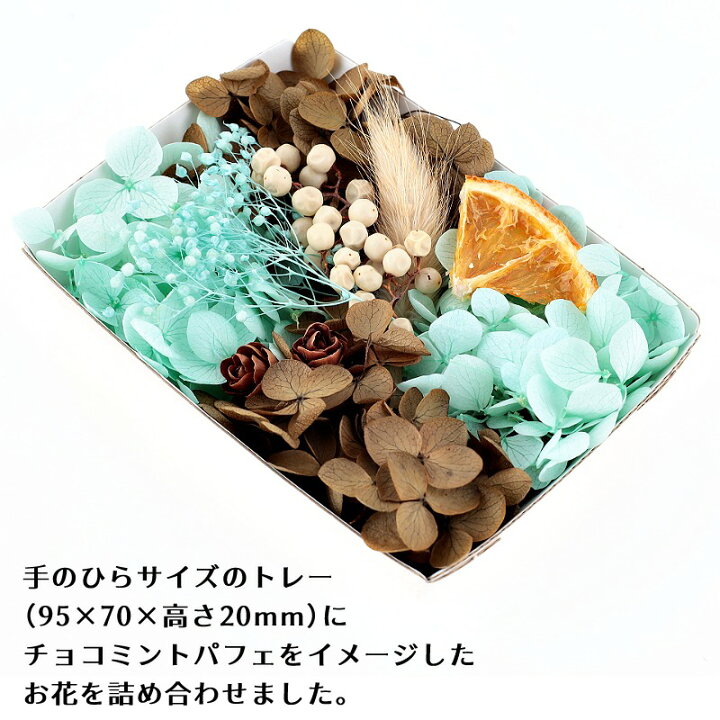 楽天市場】ハーバリウム花材 チョコミントパフェ花材セット 1ケース 