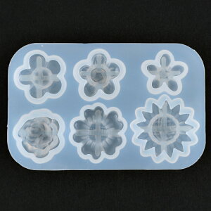 W VR^ 6̃LfB[t[[hA 1 LfB݂ȃJCCԂ̃[h 2cmȌ߃[h