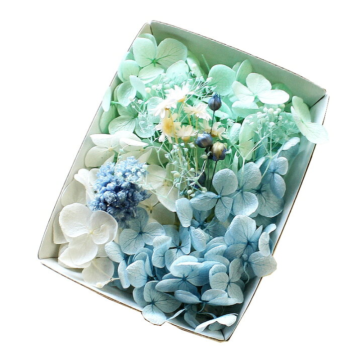 楽天市場 ハーバリウム花材 シーブルーソーダ花材セット 1ケース プリザーブドフラワー ドライフラワー あとりえほのか おうちを楽しむ