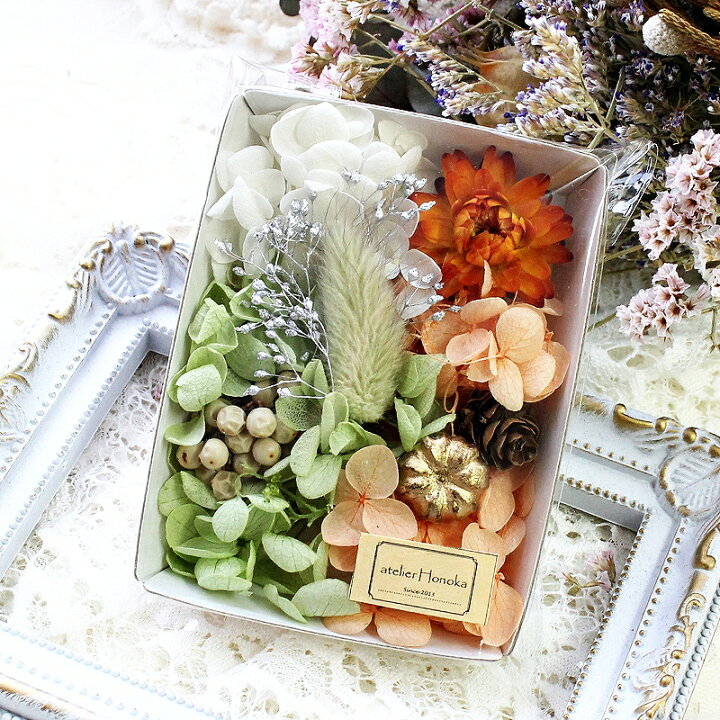 楽天市場】ハーバリウム花材 ハーベスト花材セット 1ケース 
