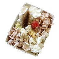 ハーバリウム花材 バニラシフォンホイップ花材セット 1ケース プリザーブドフラワー ドライフラワー