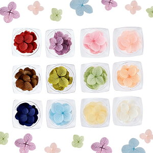 vU[uht[ AWTC Aix P[X 10 S12