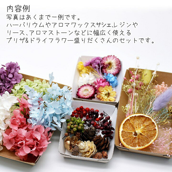 楽天市場】【4月1日限定P10倍】【メール便送料無料】ハーバリウム花材 