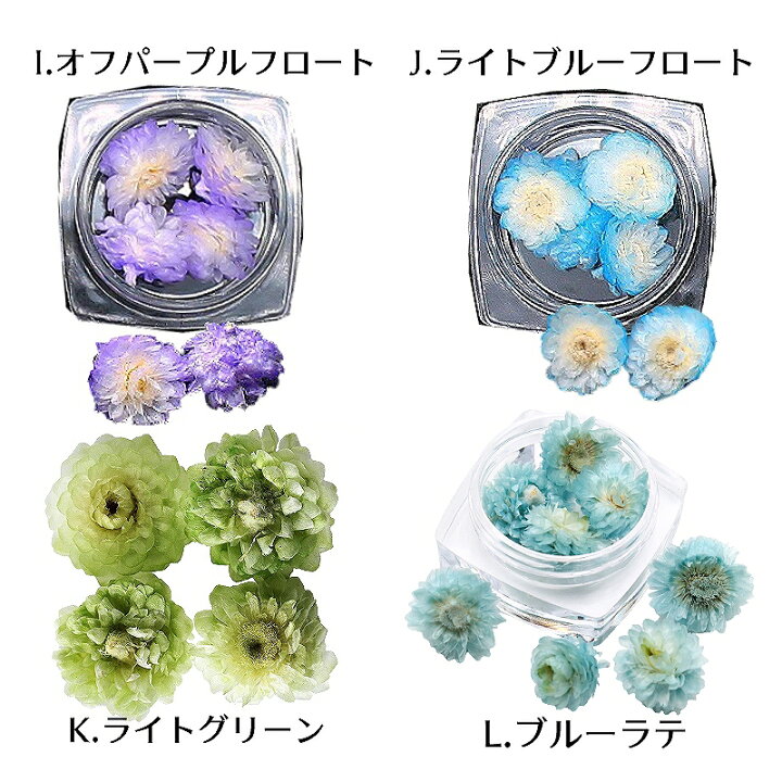 楽天市場】ハーバリウム花材 イモーテル 4輪[全12種] レジン封入 