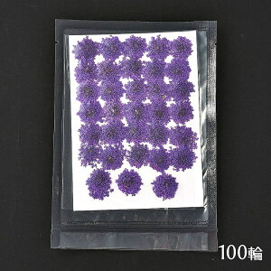  Wp hCt[ [Xt[ 1V[g 100[zCg]