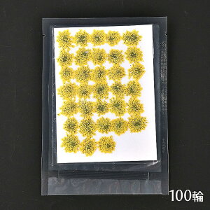  Wp hCt[ [Xt[ 1V[g 100[CG[]