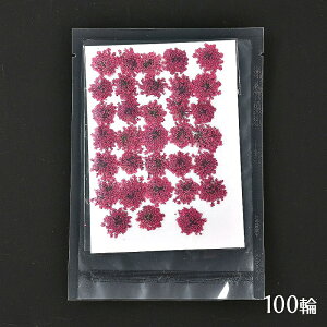  Wp hCt[ [Xt[ 1V[g 100[[YsN]