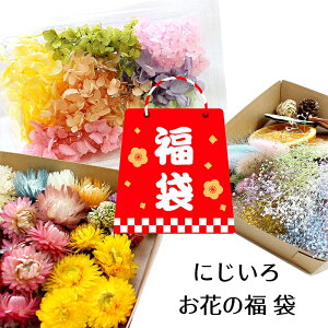 y12{ȍ~zyz֑zn[oE A}bNXTVF ԍ vU[uht[&hCt[ JtȂ ɂ남Ԃ̕