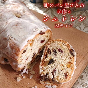 yz[Pi] ̃p̎ Vg NX}X 2025 Vg[ [z] NX}X َq