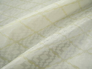 y 5mi z{ A WK[h vg |GXe ^t^n  It×Vg[Y  n ꗠn 100cmЁy 5mJbg@1,000~zy 2_܂Ń[OKł zp3ke4