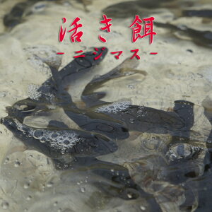 yaz܂ܔIGT@jW}X30CZbg@GT@ޖx@CJނ@