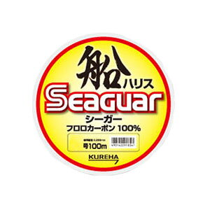 ySeaguar/V[K[zDnX@100m@8@727345@C@tJ[{@nX@Nn