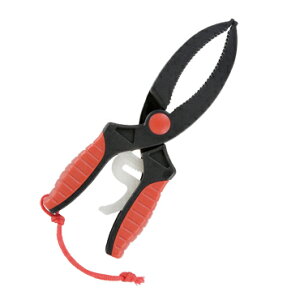 yTAKA/^JYƁzNK^nT~@180mm@V-88@420380@݁@͂݁@ޏ