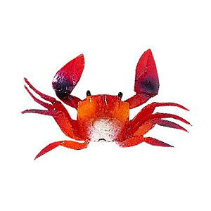 yNAKAZIMA/iJW}zJjxCg@ԁ@LTCY@1183@011838@NPK1183@^Rpi@d|