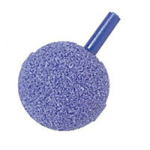 yDAITOUBUKU/_CgEuNzNo.813@Xg[̂݁iwb_[Ȃj@LTCY@GA[|vpp[c@008136