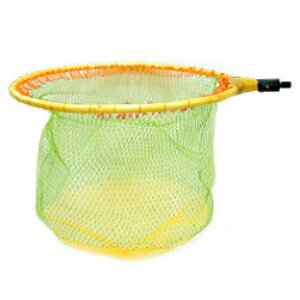 yOland/I[hzؐۋʘg 50cm iוҖ8-6mm 421888 ʘg ʖ ԕt זԖڕt