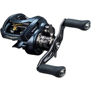 ダイワ スティーズ A II TW 1000HL (リール) 価格比較 - 価格.com 